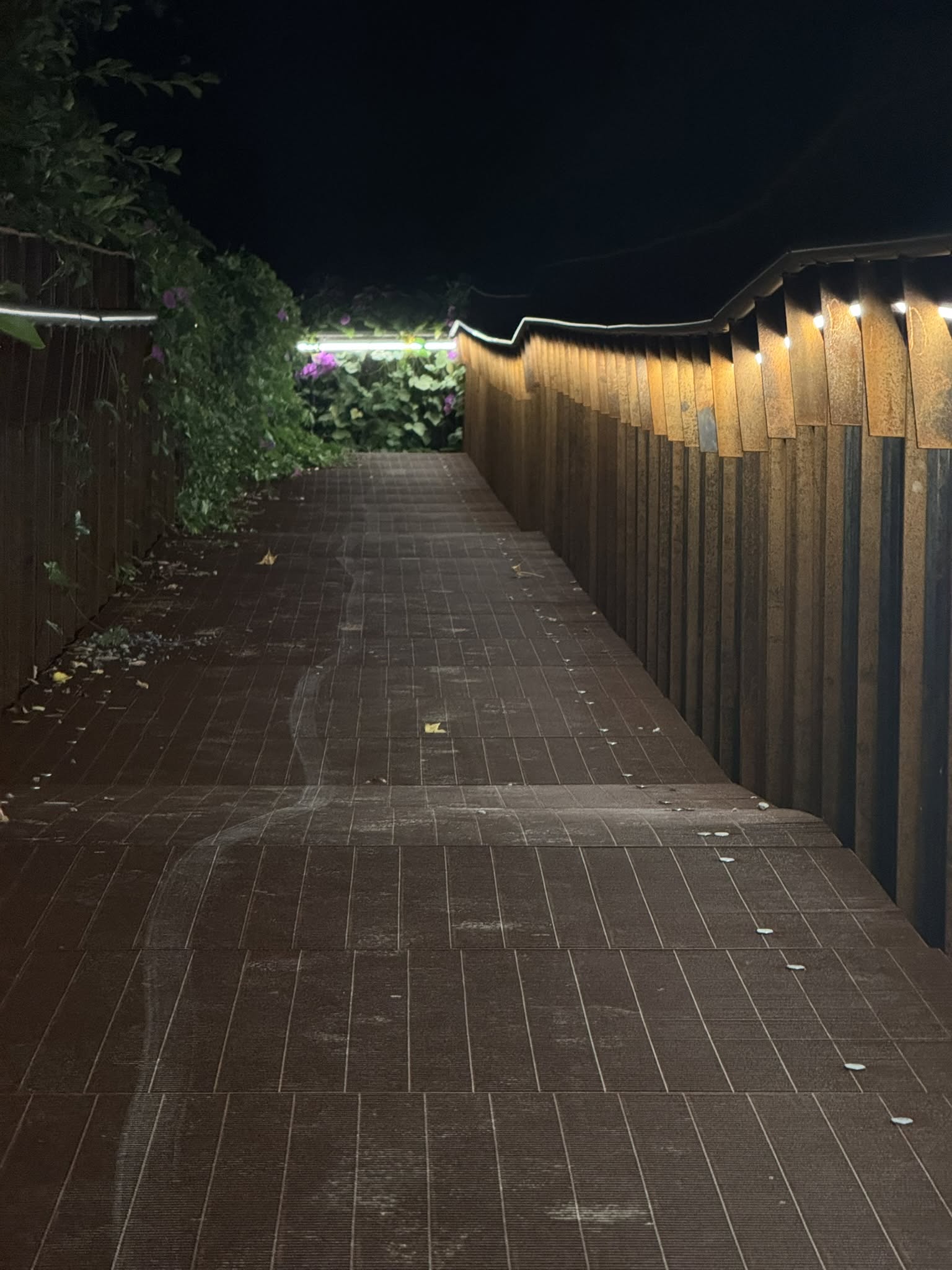 Dettaglio della linea luminosa integrata nel parapetto della passerella.